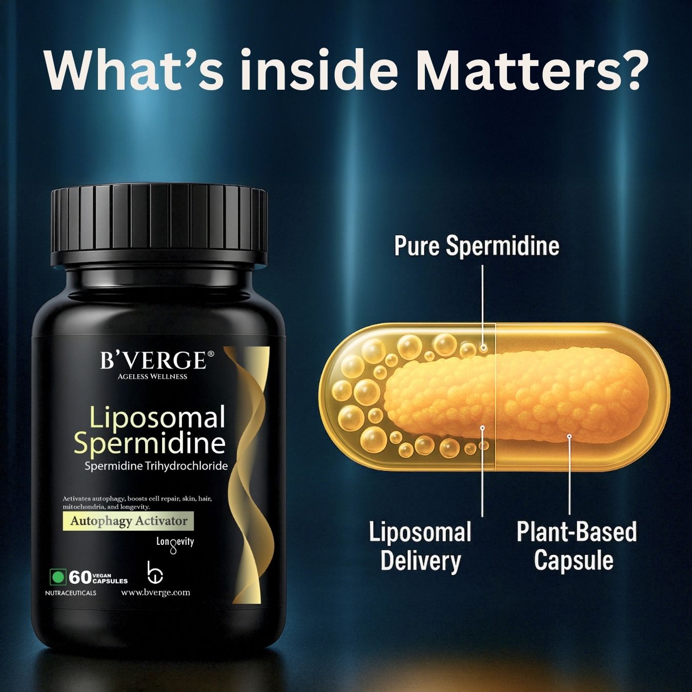 B'Verge® Liposomal Spermidine Supplement | Supports Autophagy, boosts longevity, immunity, and skin & heart vitality | 60 Veg Capsules