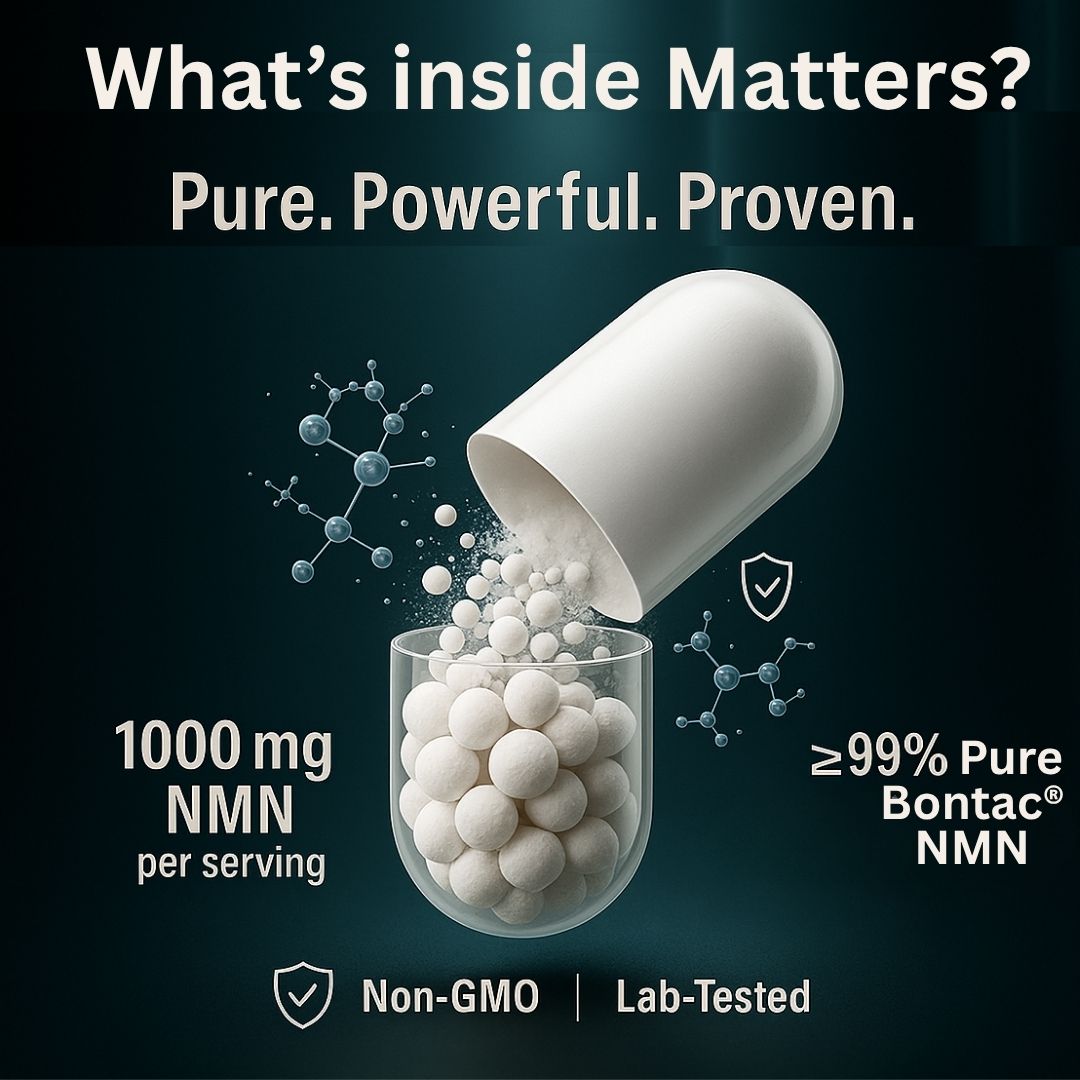 B'VERGE® NMN Bontac® 1000 - World's Purest NMN