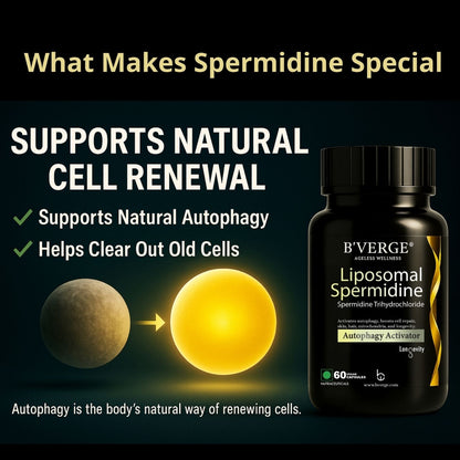 B'Verge® Liposomal Spermidine Supplement | Supports Autophagy, boosts longevity, immunity, and skin & heart vitality | 60 Veg Capsules