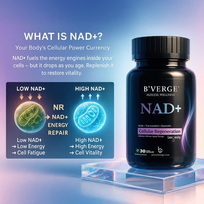 B'VERGE® NAD+ Supplement | 500mg NAD+ Support | Cellular Energy, DNA Repair & Healthy Aging | 60 Capsules