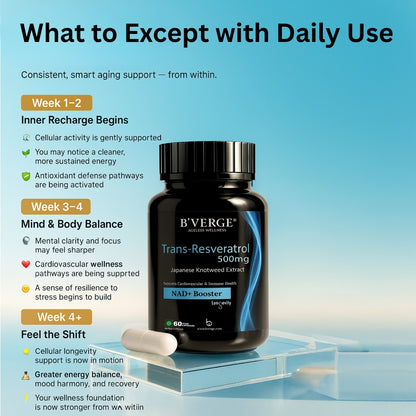 B'VERGE® Trans-Resveratrol 500mg | High-Purity Polyphenol | Supports Longevity, Cellular Health & Heart Function | 60 Capsules